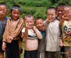 The best of Vietnam