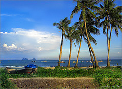 Da Nang Da Nang